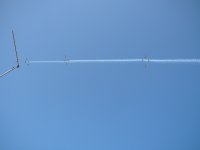 P1000355