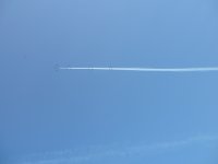 P1000356
