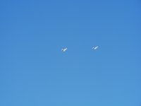 P1030112 